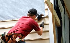 Best Siding Painting and Refinishing  in Roselle, NJ